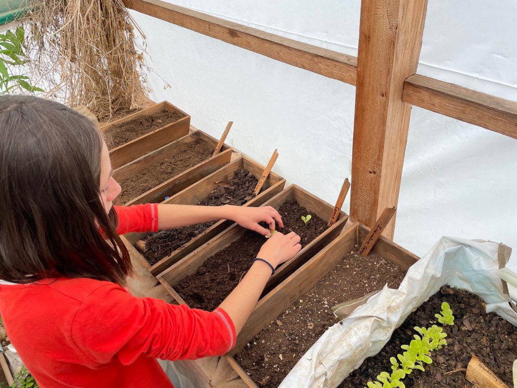 Nurturing Seeds & Ideas