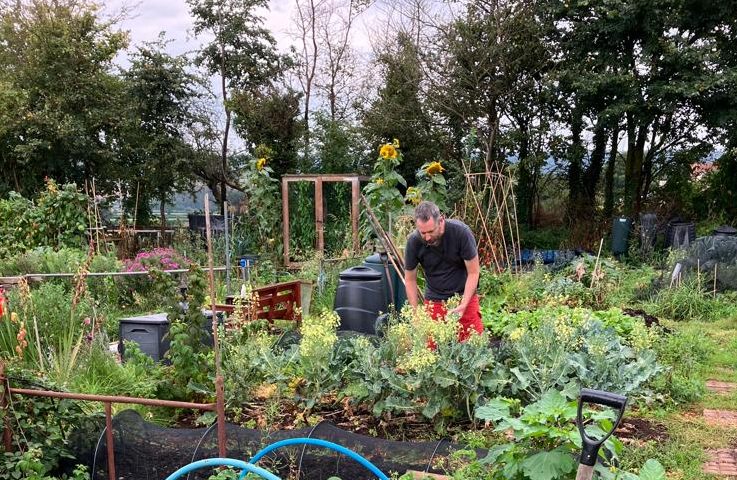 Organisational Gardening