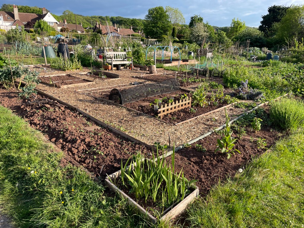 Every garden is a creative field