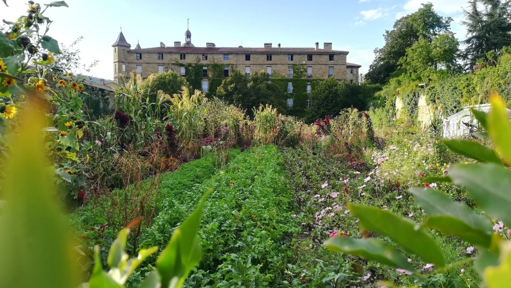 Organisational Gardening