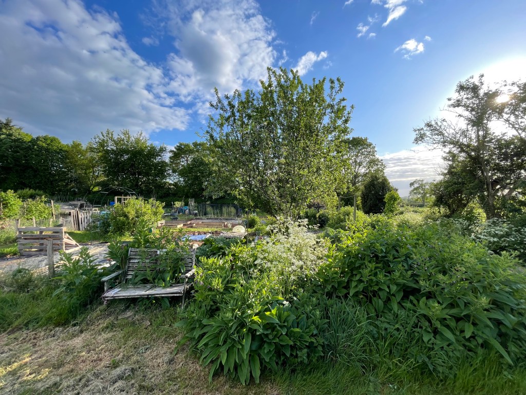 Find a special place in the garden