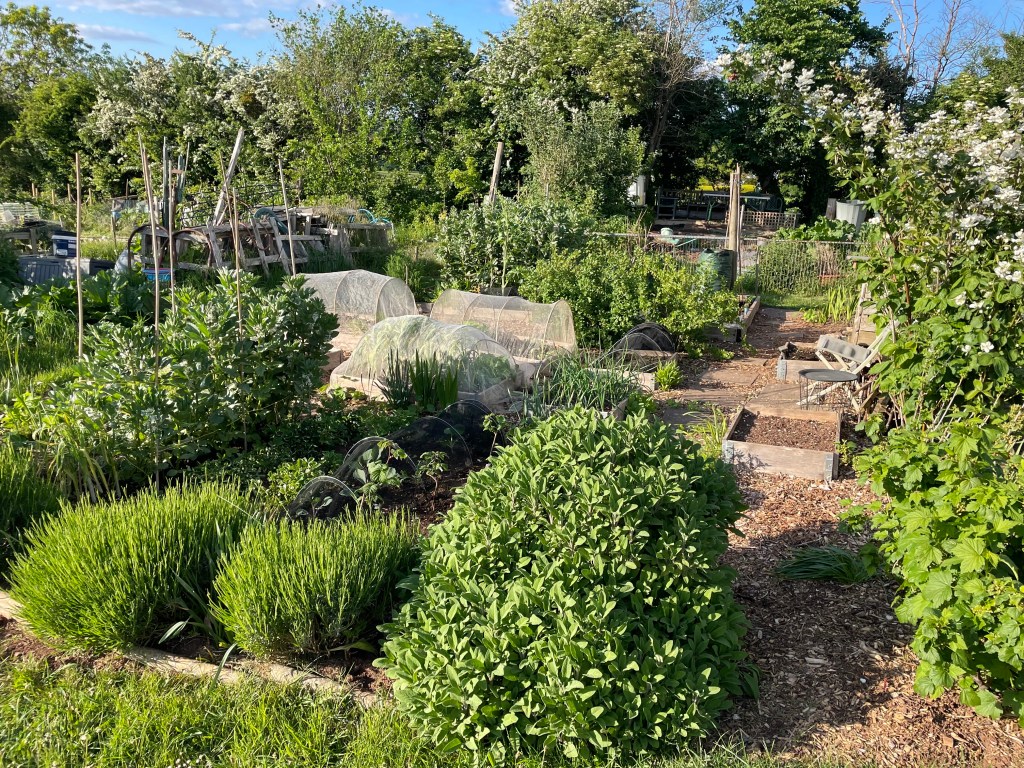 Group and Team Coaching in the Garden 
